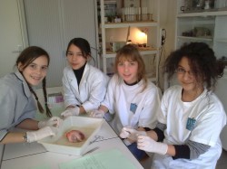 7TH GRADE BIOLOGY EXPERIMENT - IBS of Provence - International Bilingual School of Provence